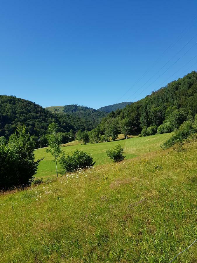 Apartmán Wiesenblume Schönau im Schwarzwald Exteriér fotografie
