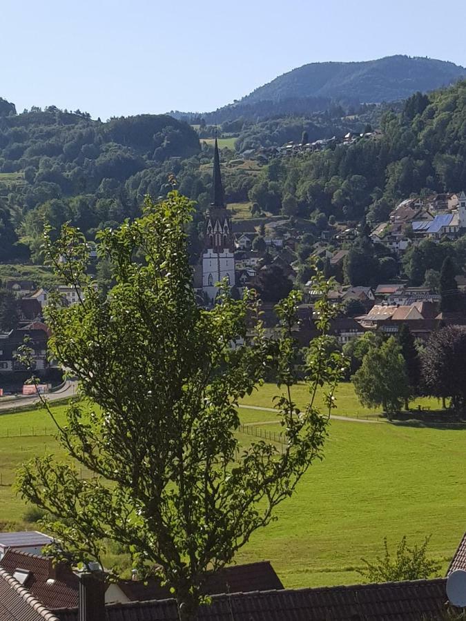 Apartmán Wiesenblume Schönau im Schwarzwald Exteriér fotografie
