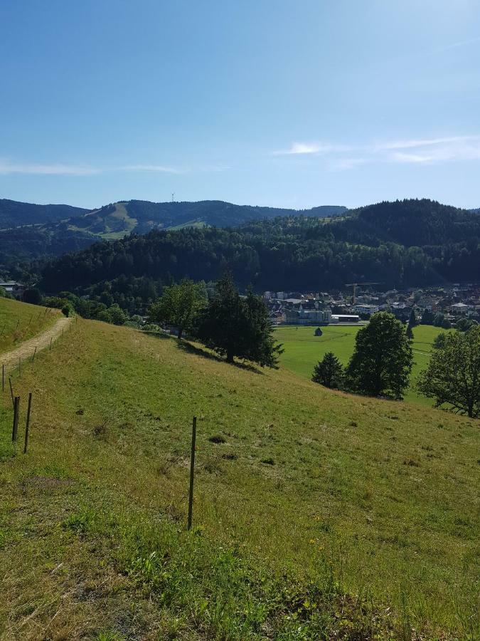 Apartmán Wiesenblume Schönau im Schwarzwald Exteriér fotografie